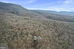 308 Brush Leaf Ln, Mount Jackson, VA 22842 - Photo 58