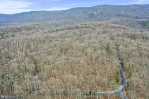 308 Brush Leaf Ln, Mount Jackson, VA 22842 - Photo 54