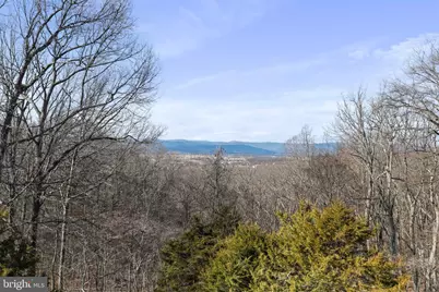 308 Brush Leaf Lane, Mount Jackson, VA 22842 - Photo 24