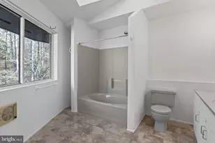 308 Brush Leaf Ln, Mount Jackson, VA 22842 - Photo 20