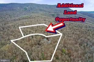 308 Brush Leaf Ln, Mount Jackson, VA 22842 - Photo 46