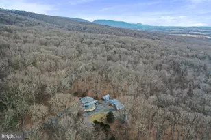 308 Brush Leaf Ln, Mount Jackson, VA 22842 - Photo 56