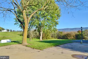 3345 Conicville Rd, Mount Jackson, VA 22842 - Photo 12