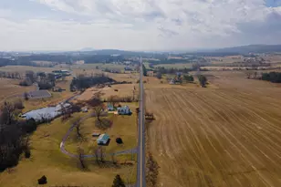 3345 Conicville Rd, Mount Jackson, VA 22842 - Photo 46