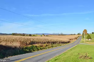 3345 Conicville Rd, Mount Jackson, VA 22842 - Photo 10