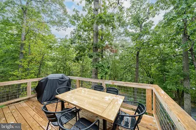 8258 Supinlick Ridge Road, Basye, VA 22842 - Photo 26