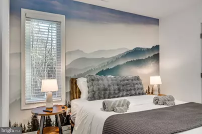 1355 Greenview Drive, Basye, VA 22810 - Photo 38