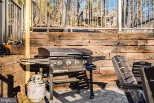 1355 Greenview Dr, Basye, VA 22810 - Photo 108