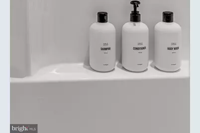 1355 Greenview Drive, Basye, VA 22810 - Photo 50