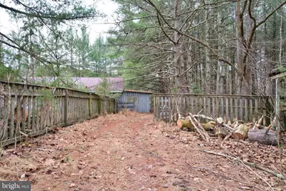 0 Boyer Road, Fort Valley, VA 22652 - Photo 16