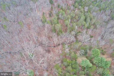 0 Boyer Road, Fort Valley, VA 22652 - Photo 26