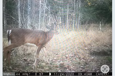 0 Boyer Road, Fort Valley, VA 22652 - Photo 34