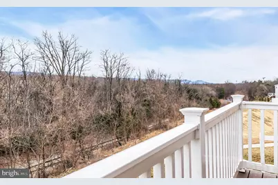 307 Williams Street, Strasburg, VA 22657 - Photo 16