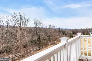 307 Williams St, Strasburg, VA 22657 - Photo 16