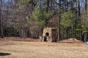 2034 Jerome Rd, Mount Jackson, VA 22842 - Photo 2