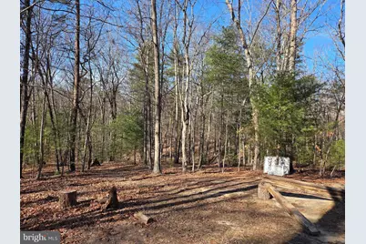 2034 Jerome Road, Mount Jackson, VA 22842 - Photo 12