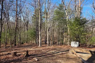 2034 Jerome Rd, Mount Jackson, VA 22842 - Photo 12