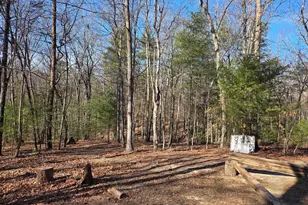 2034 Jerome Rd, Mount Jackson, VA 22842 - Photo 10