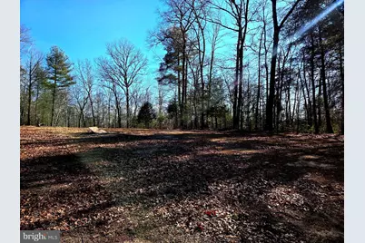 2034 Jerome Road, Mount Jackson, VA 22842 - Photo 8