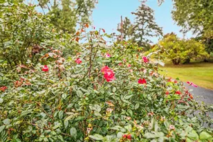 517 W Locust St, Woodstock, VA 22664 - Photo 58