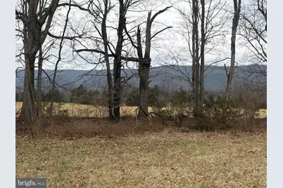 Zepp Road, Maurertown, VA 22644 - Photo 4