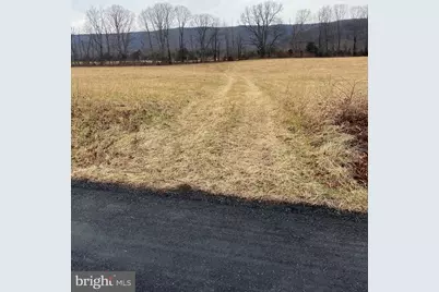 Zepp Road, Maurertown, VA 22644 - Photo 10