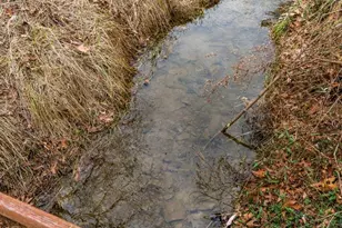 1537 Coal Mine Rd, Strasburg, VA 22657 - Photo 88