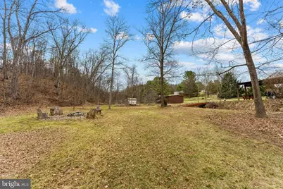 1537 Coal Mine Road, Strasburg, VA 22657 - Photo 100