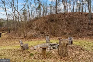 1537 Coal Mine Rd, Strasburg, VA 22657 - Photo 92