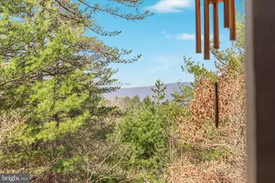 38 Strudel Court, Basye, VA 22810 - Photo 42