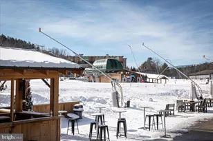 38 Strudel Ct, Basye, VA 22810 - Photo 76