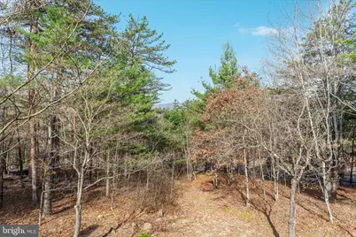 38 Strudel Court, Basye, VA 22810 - Photo 24