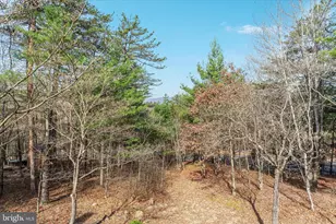 38 Strudel Ct, Basye, VA 22810 - Photo 24