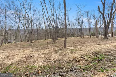 Tbd Indian Camp Trail, Maurertown, VA 22644 - Photo 4