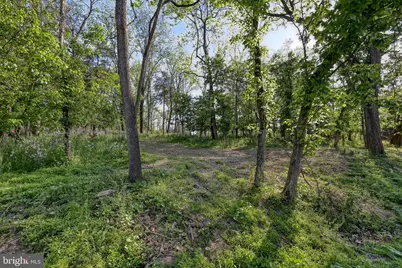 Tbd Indian Camp Trail, Maurertown, VA 22644 - Photo 10