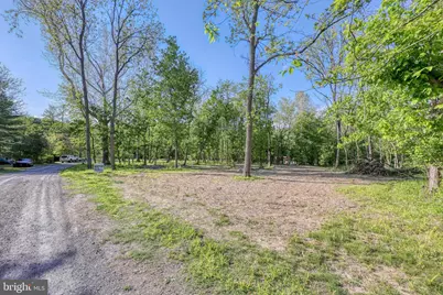Tbd Indian Camp Trail, Maurertown, VA 22644 - Photo 8