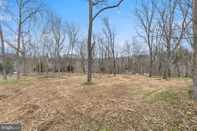 Tbd Indian Camp Trail, Maurertown, VA 22644 - Photo 2