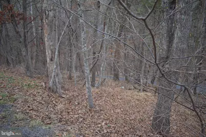 Anderson Road, Basye, VA 22810 - Photo 2