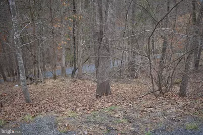 Anderson Road, Basye, VA 22810 - Photo 4