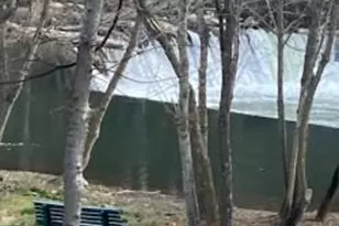 79 Sunset Ct, Edinburg, VA 22824 - Photo 38