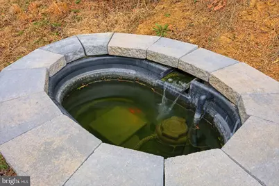 156 Aden Drive, Strasburg, VA 22657 - Photo 36