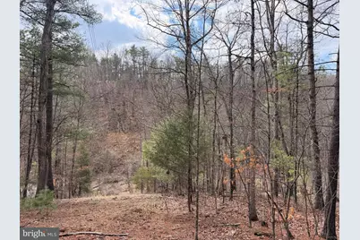 950 Krejci Boulevard, Mount Jackson, VA 22842 - Photo 1