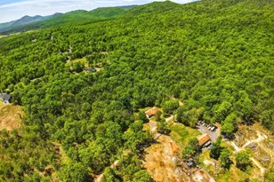 553 Mt of Olives Trail, Fort Valley, VA 22652 - Photo 58