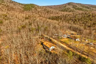 553 Mt of Olives Trail, Fort Valley, VA 22652 - Photo 54