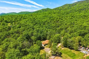 553 Mt of Olives Trail, Fort Valley, VA 22652 - Photo 50