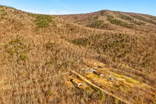 553 Mt of Olives Trail, Fort Valley, VA 22652 - Photo 58