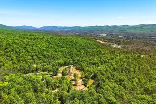 553 Mt of Olives Trail, Fort Valley, VA 22652 - Photo 56