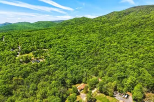 553 Mt of Olives Trail, Fort Valley, VA 22652 - Photo 54