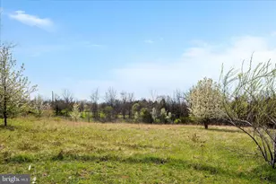 8735 Smith Creek Rd, New Market, VA 22844 - Photo 38