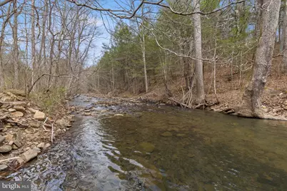 1605 Paddys Run Road, Star Tannery, VA 22654 - Photo 20